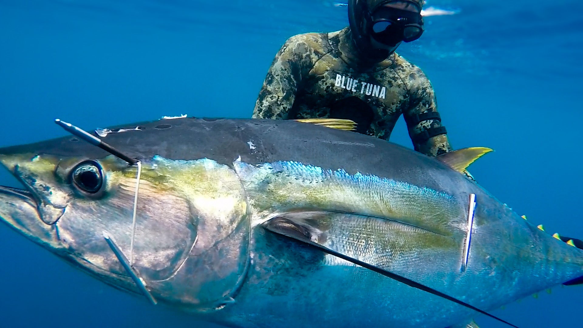Big Catch Fishing Tackle - Rob Allen Tuna Roller Spearfishing Gun