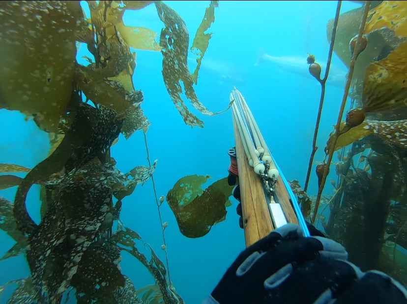 Andre Spearguns - Midhandle Series – Blue Tuna Spearfishing Co