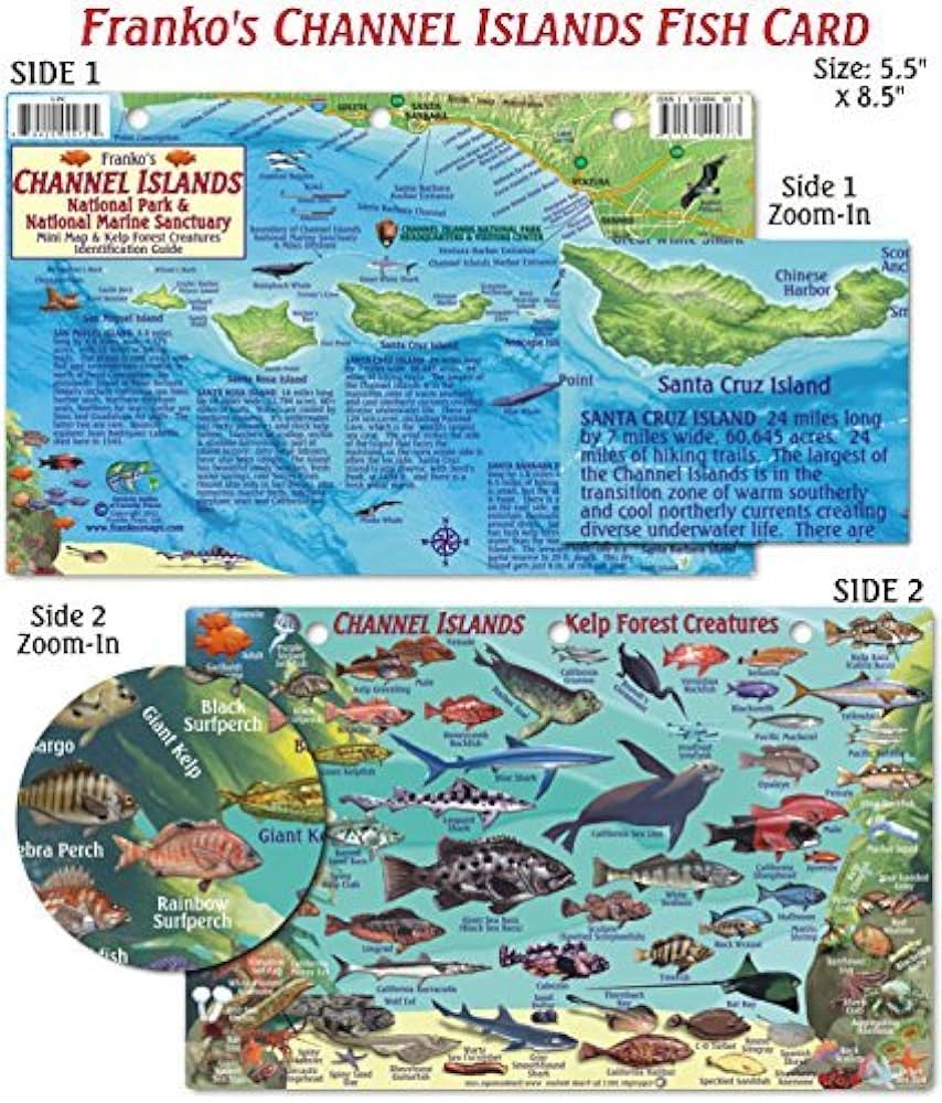 CHANNEL ISLANDS FISH & DIVE