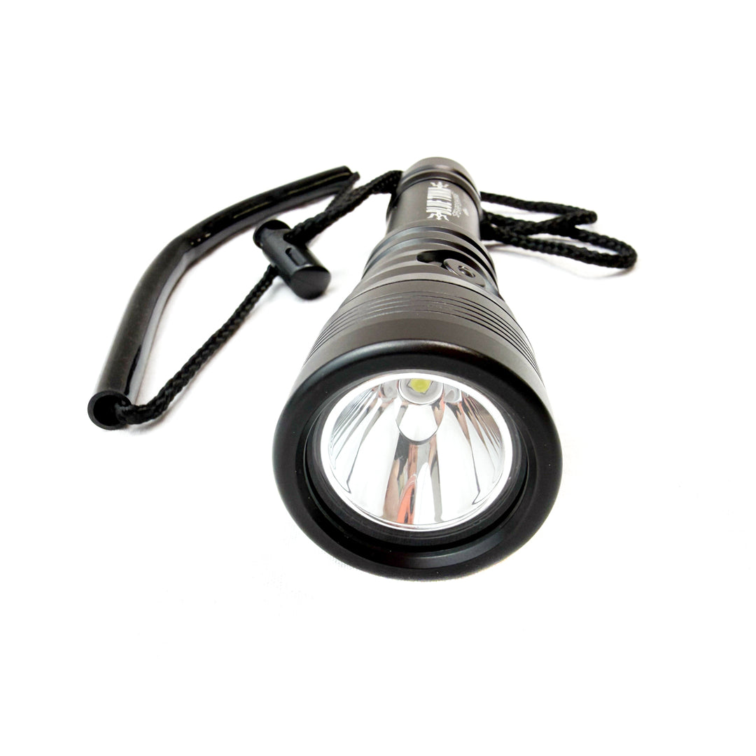ライト・ランタン SAIBORG BEYOND THE RIDGE blue BTS Flame 1050 Lumen Dive Light Kit With Charger and Hand Mount