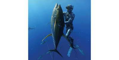 Riffe Naida Mask - Blue Tuna Spearfishing Co