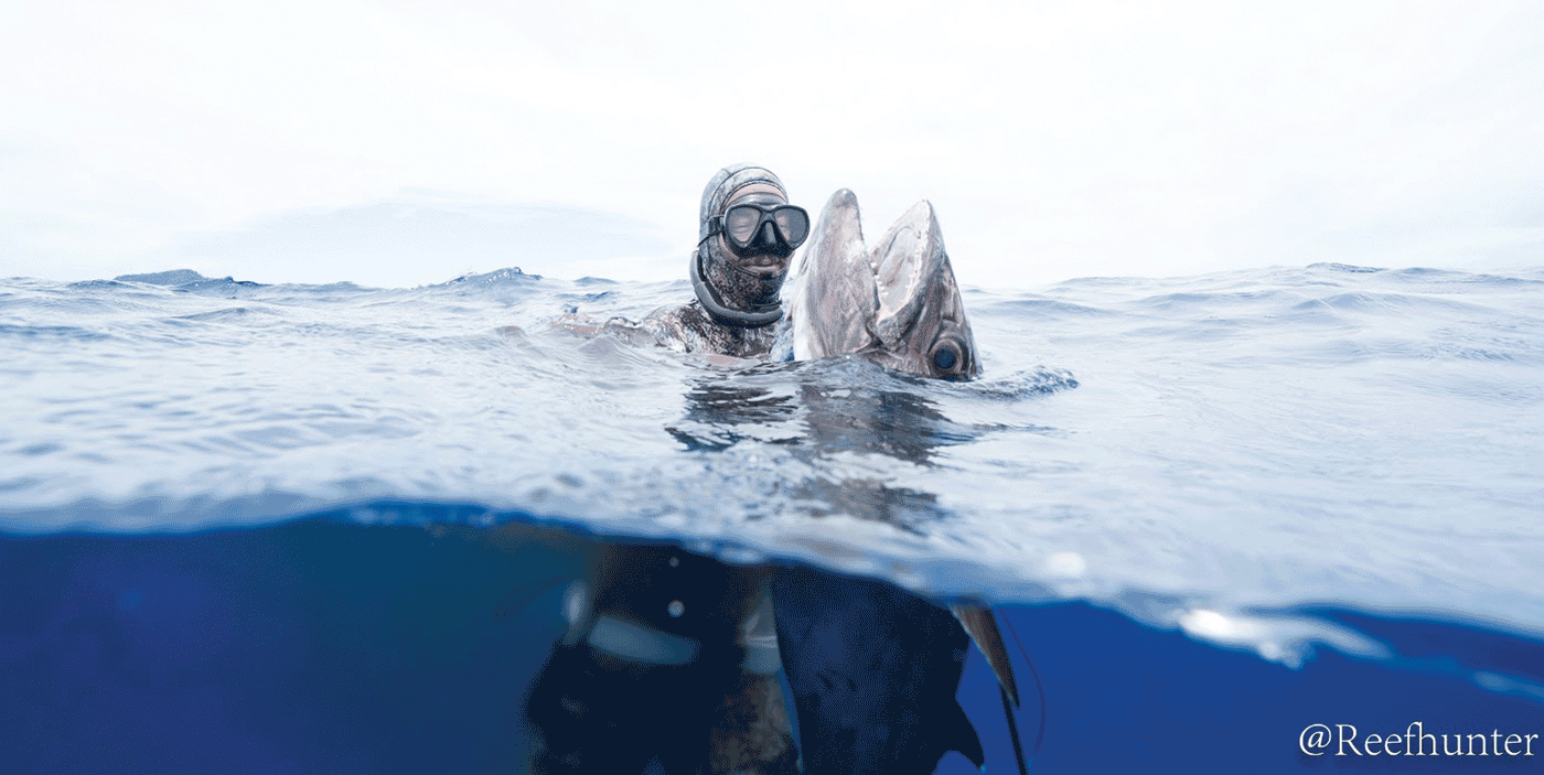 Riffe Naida Mask – Blue Tuna Spearfishing Co